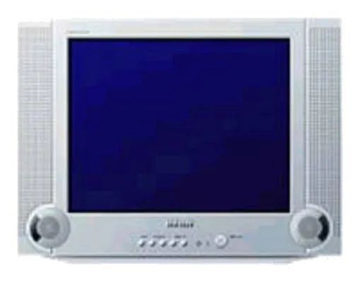 Прошивка / разблокировка Samsung CS-21T4MHQ