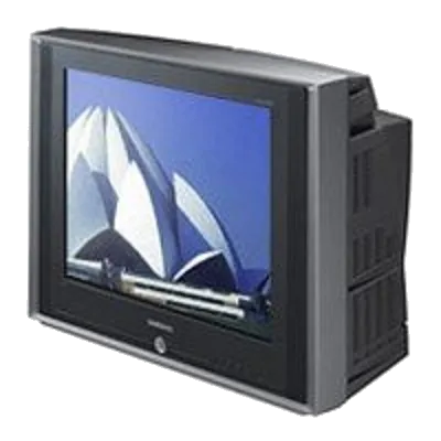 Прошивка / разблокировка Samsung CS-21M21ZQQ