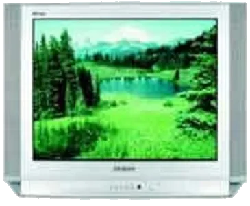 Прошивка / разблокировка Samsung CS-29D8 WTR